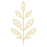 Serenia Vita